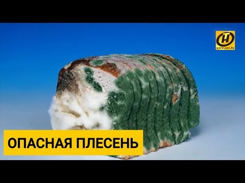 Что будет, если съесть еду с плесенью? Деликатес и рак печени