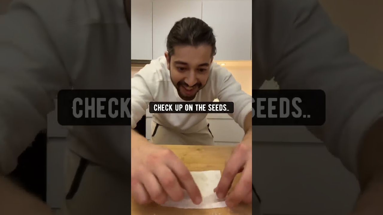 How To Grow Kiwi Plants With From The Store Creative Explained