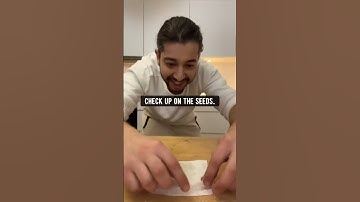Thumbnail of Cara Menanam Tanaman Kiwi dengan Kiwi dari Toko | kreatif dijelaskan