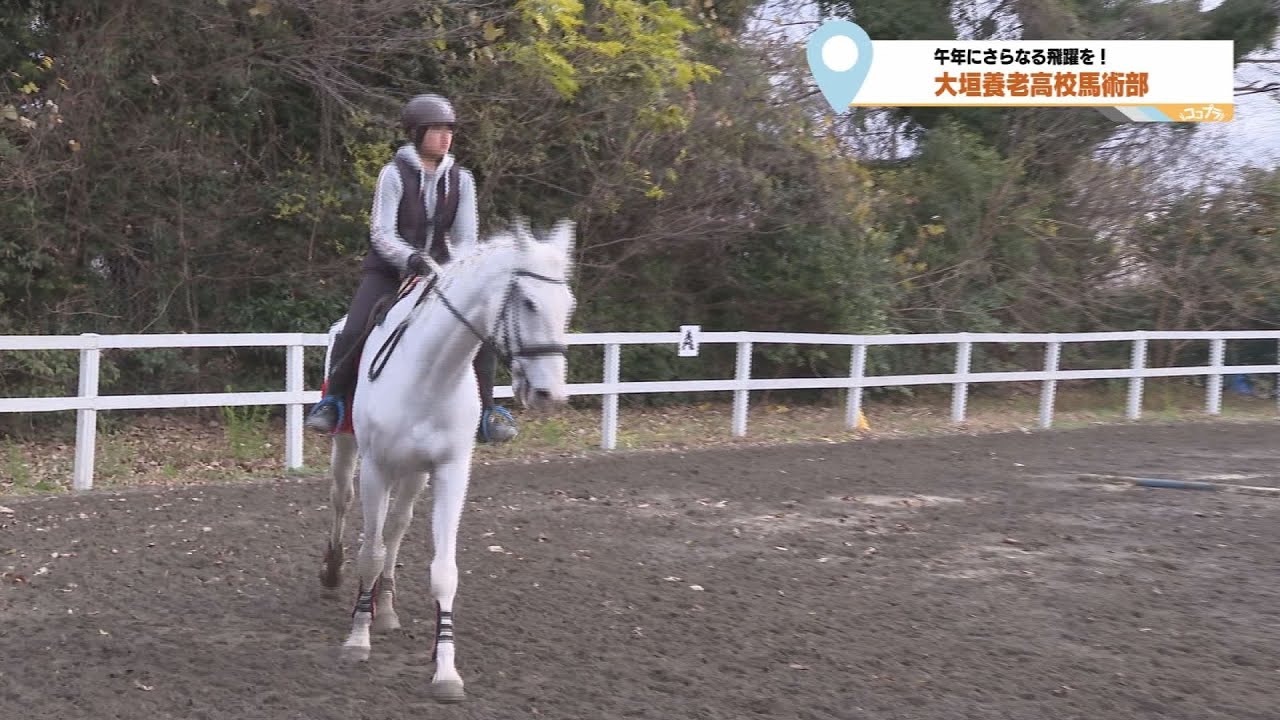 1月16日ココプラ