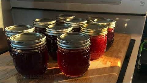 Making Concord Grape Jelly