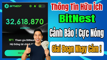 Cảnh báo gấp BitNest ! Hiện tại đang ở giai đoạn airdrop MEC và kết thúc năm 2025 cực kỳ nhạy cảm