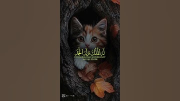 تلاوة خاشعة تهز القلوب | آية الكرسي بصوت يبكي القلوب 💖