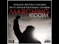 Marching Riddim Mix - Rubb a Dube Sound