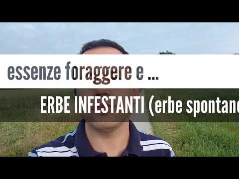 Video: Sprut®, Zontran®, Lornet® - Prodotti Fitosanitari Contro Le Erbe Infestanti