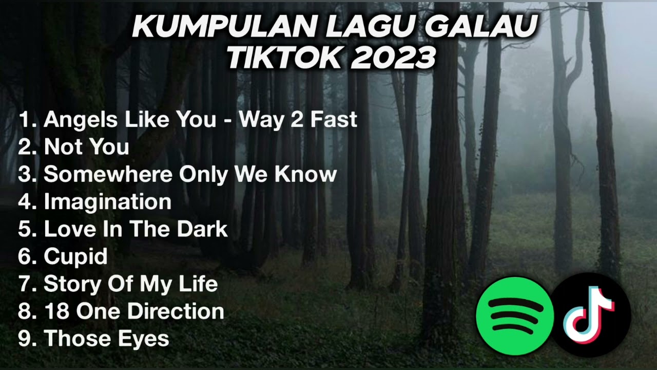 KUMPULAN LAGU BARAT SAS VIBES VIRAL TIKTOK 2023 ANGEL LIKE YOU, NOTE YOU
