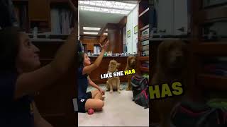 This Dog is Amazingly Smart ❤🐶