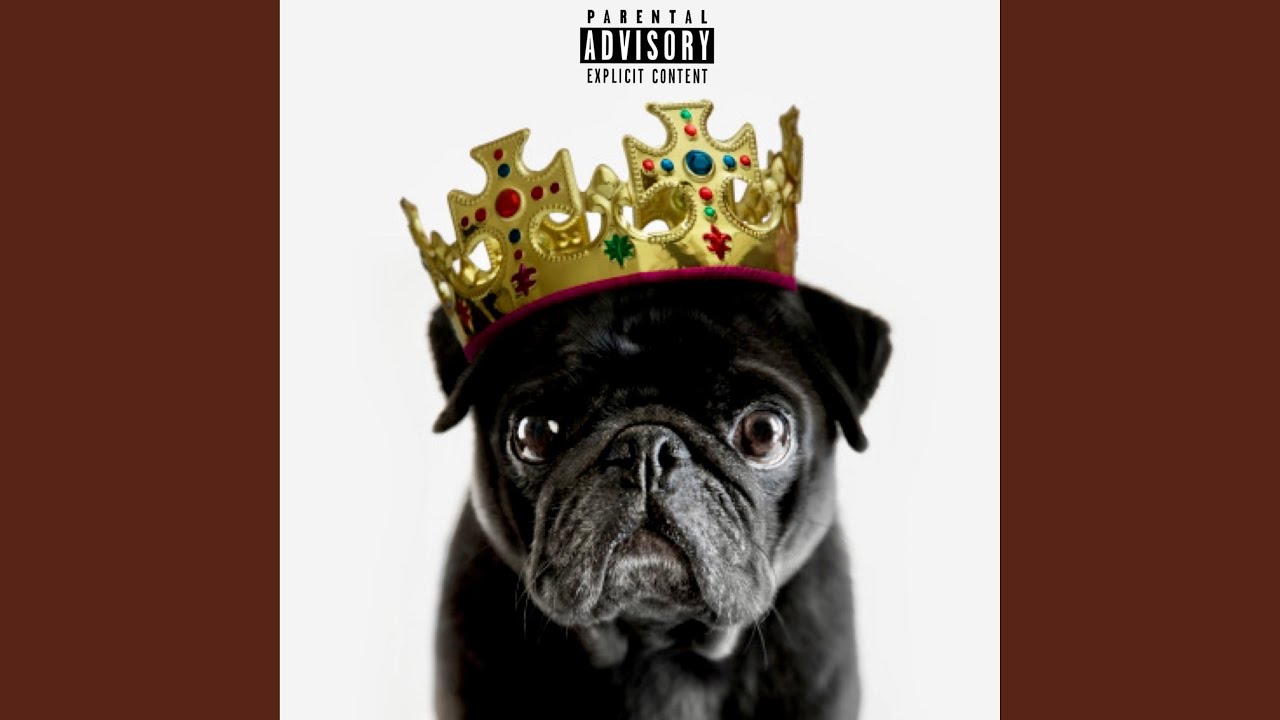 Guarda KING su YouTube Guarda KING su YouTube