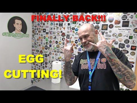 I'M BACK!!! Ball Python Egg Cutting!