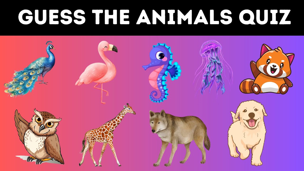 Guess The Animals Name Quiz Easy, Medium, Hard YouTube