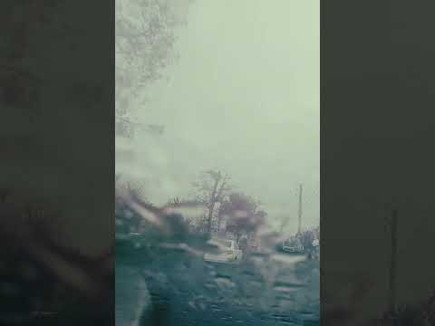 مو که افسرده حالم چون ننالم شجریان کلیپ عشق  