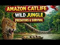 Wild Life Amazon Jungle Predators And Survival 