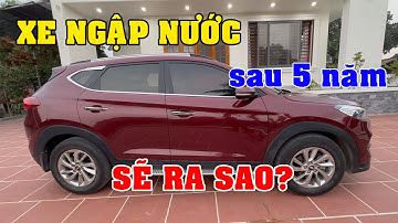 Xe Ngập Nước sau 5 năm Sẽ Ra Sao ?