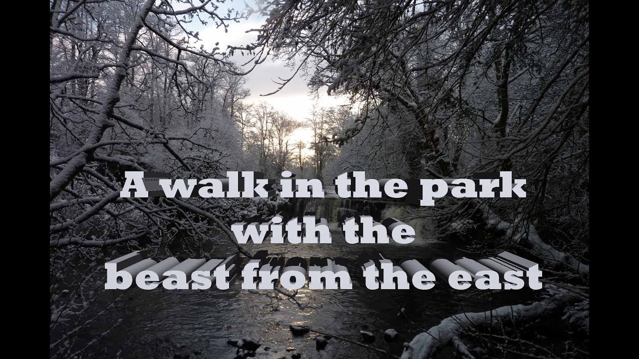 A walk through Linn park in heavy snow. Glasgow 2018.