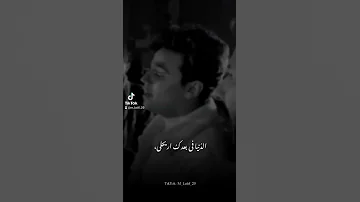 كل الحلو معاك اتجرب مسلموعمرو الكروان 