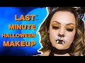 LAST MINUTE HALLOWEEN LEOPARD MAKEUP LOOK!