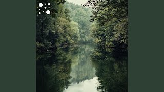 Riverbank Reflections