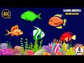 Sleep Instantly Within 3 Minutes ♥♥♥ Sleep Music for Babies ♪ Baby Sleep Music ♪ Mozart Brahms Lulla