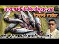 Varanasi fish market मछली मार्केट #vlog #fishmarket #mirzamurad #varanasivlogनया अपडेट 🐟