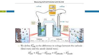 20.4/19.4 Standard Electrode Potentials