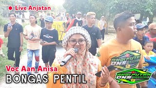 ANDI PUTRA 1 Bongas Pentil Voc Aan Anisa Live Anjatan Babakan Poncol Tgl 8 Mei 2024
