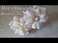 Flor Chinesinha!