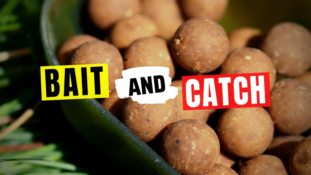 4 Easy Baiting Techniques To Improve Your CATCH RATE 