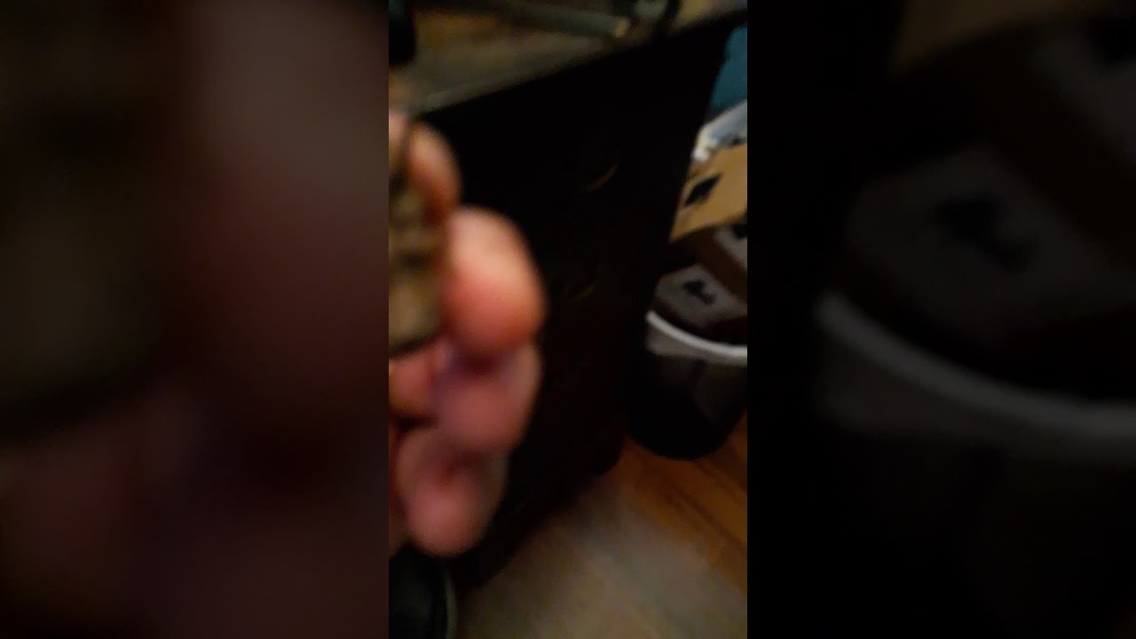 17 year old  cicada.