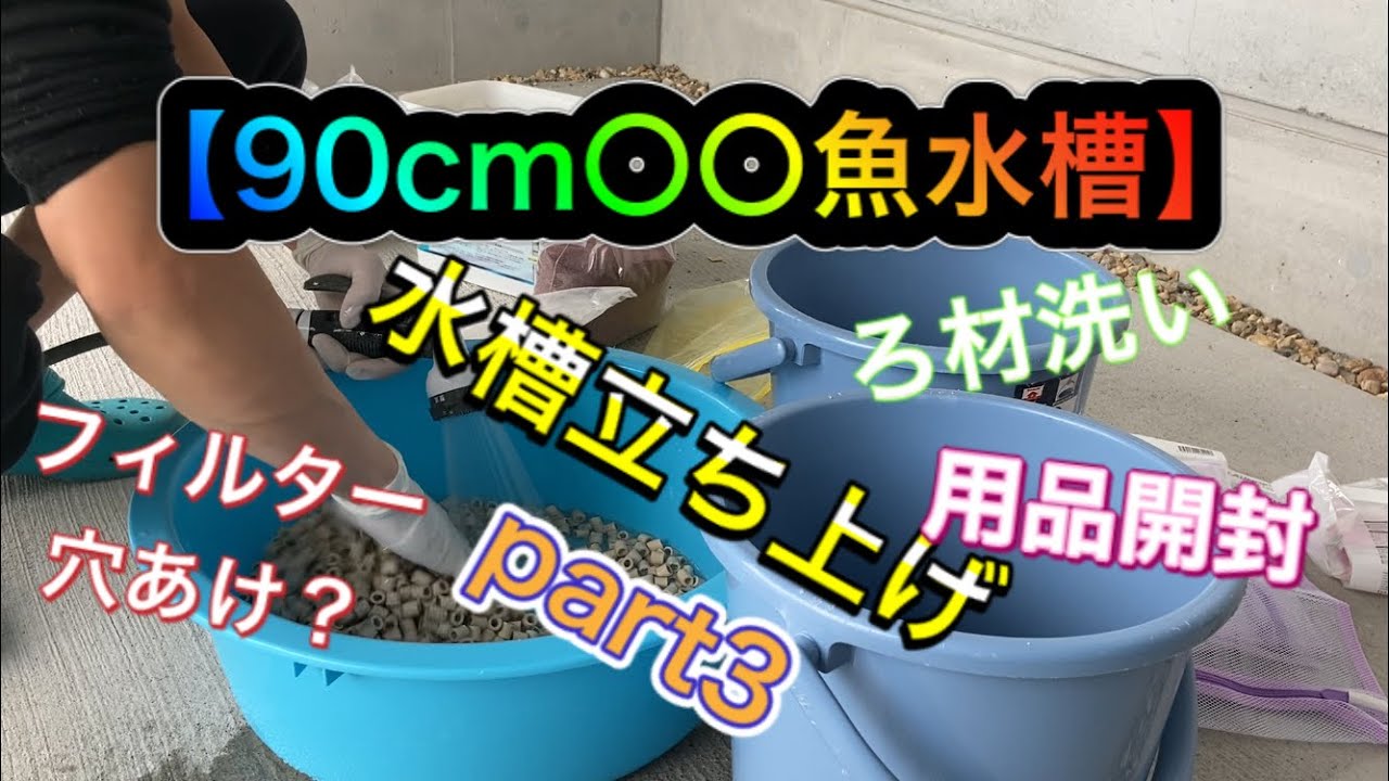 90cm○○魚水槽】水槽立ち上げ part3 ♯10 - YouTube
