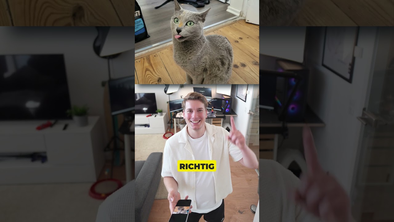Wie findet ihr die letzte?:) Schon cool nh😳 #cat #katze #Haustier #kater