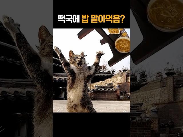 탈룰라