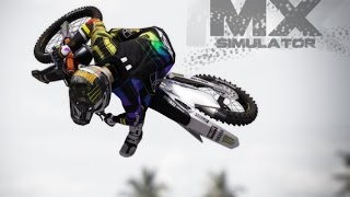 Mx Simulator Edit