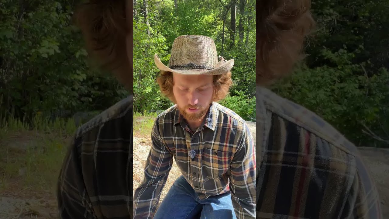 How To Build A Bow In The Wild Part 1 Bushcraft Camping Survival Archery Bowmaking