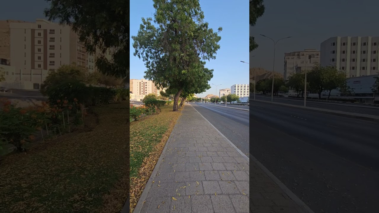 Autumn 🍂  Morning walk at Ruwi in Muscat 