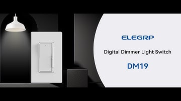 ELEGRP Dimmer Light Switch DM19