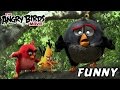 Angry Birds Movie 2016 Commercial