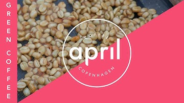 Reflections on Processing in Specialty Coffee | Coffee with April #250