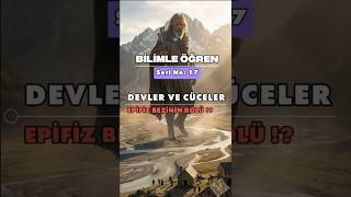 Devler Ve Cüceler Bilimsel Gerçek & Ad Kavmi Gizemi