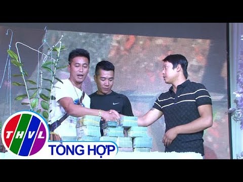 THVL | Cận cảnh chậu hoa lan giá 5 tỷ đồng tại Lâm Đồng | Foci