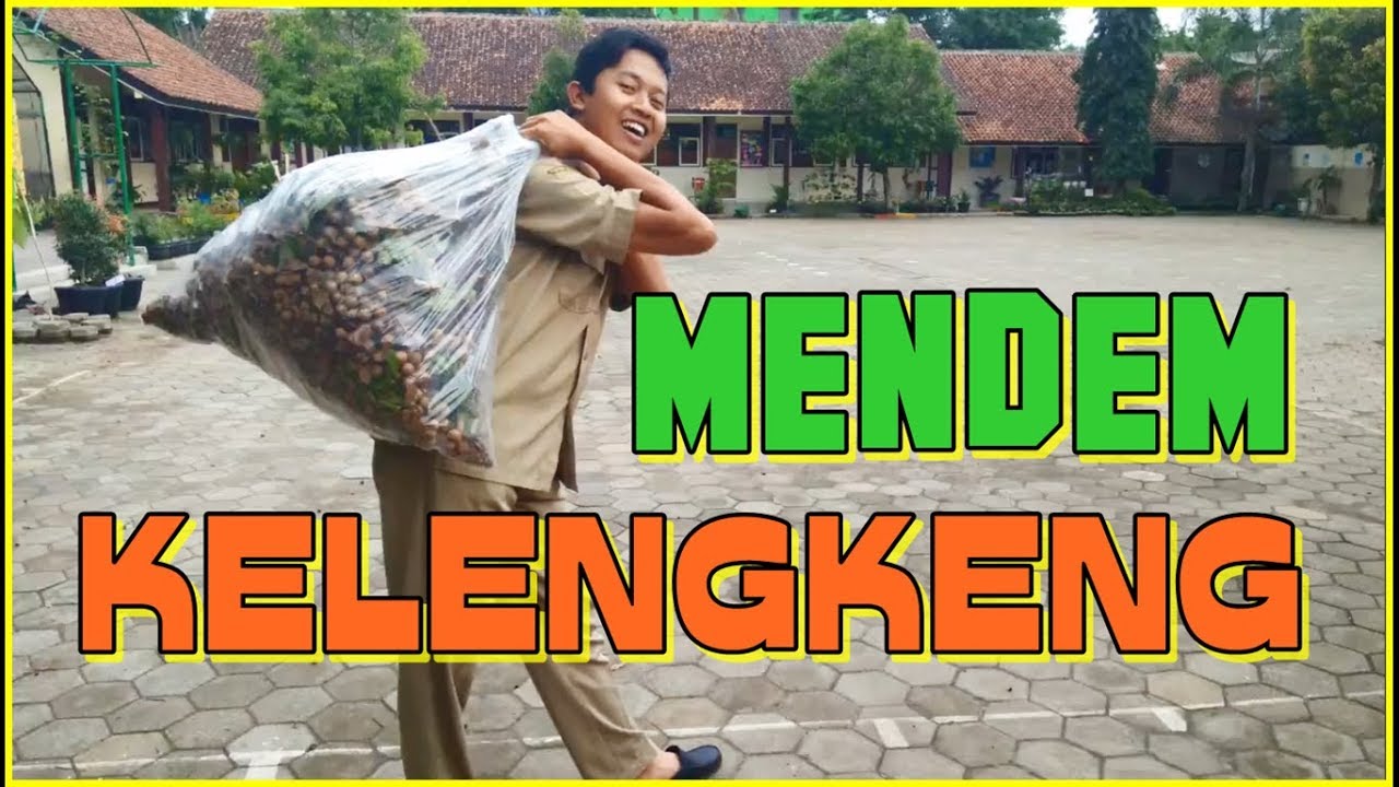 INIKAH YANG NAMANYA MENDEM KELENGKENG???...PANEN RAYA BUAH KELENGKENG SDN GRABAG 1 magelang kota lpse