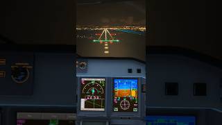 E195 vs Windy Ben Gurion! 🌬🌙 Crosswind Night Landing | FSS E-Jets | MSFS 2024 #shorts #e195 #msfs