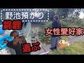 野池用の錦鯉【女性愛好家】購入…悩んだ結果。 #錦鯉 #アクアリウム # koi # 野池