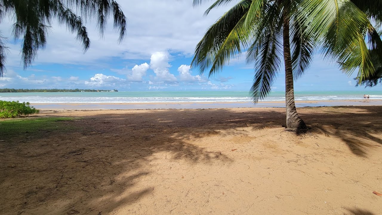 Casa del Mar Beach Resort 3101 Rio Grande YouTube