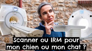 Scanner ou IRM pour mon chien  ou mon chat  ?