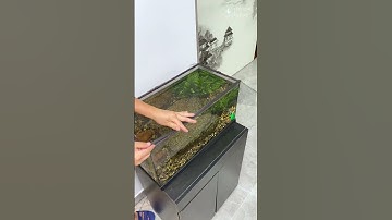 Lưới Chắn Cá Nhảy Từ Tính Voonline Cho Bể Cá Cảnh Nhiều Kích Thước Đa Dạng #beca #luoichan #voonline