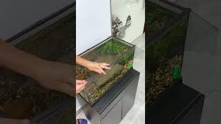 Lưới Chắn Cá Nhảy Từ Tính Voonline Cho Bể Cá Cảnh Nhiều Kích Thước Đa Dạng