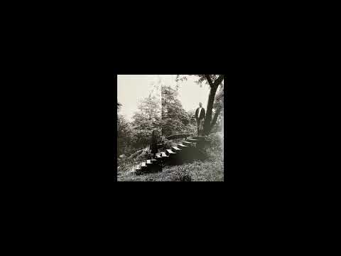 Timber Timbre - Magic Arrow (Recorded from the vinyl record)