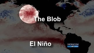 What Will Happen When El Nino Meets The Blob?
