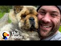 Blind Forever Puppy Melts In His New Dad’s Arms | The Dodo