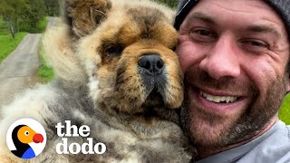 Blind Forever Puppy Melts In His New Dad’s Arms | The Dodo